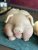 ImportedPhoto.767203325.64748 ImportedPhoto.767203325.64748